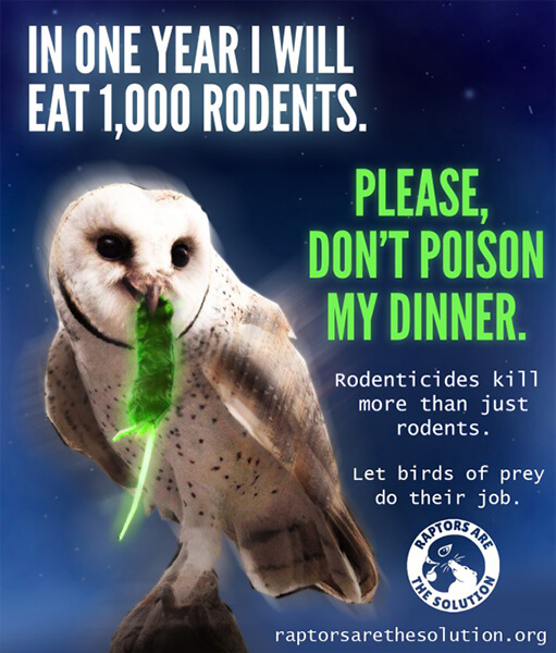 A Raptors Are the Solution anti-poison poster.