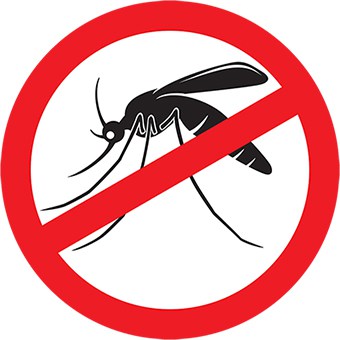 Mosquitoes can be controlled without using toxic pesticides.