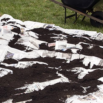 Compost and newspaper are simple tools used to kill turfgrass for installing native plants.